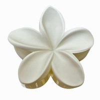 WHITE FRANJIPANI HAIR CLIP